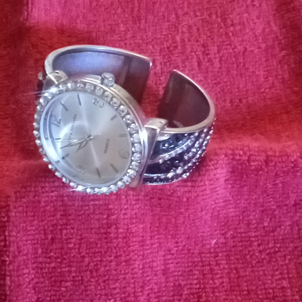 Sofia Vergara Watch - Picture 5 of 6